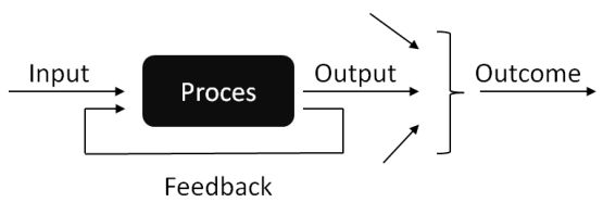 input output proces feedback outcome prestatiesturing